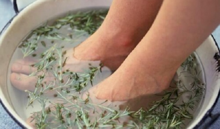 Ngâm rửa vết thường bằng nước ngải dại giúp giảm nhanh các triệu chứng ngoài da