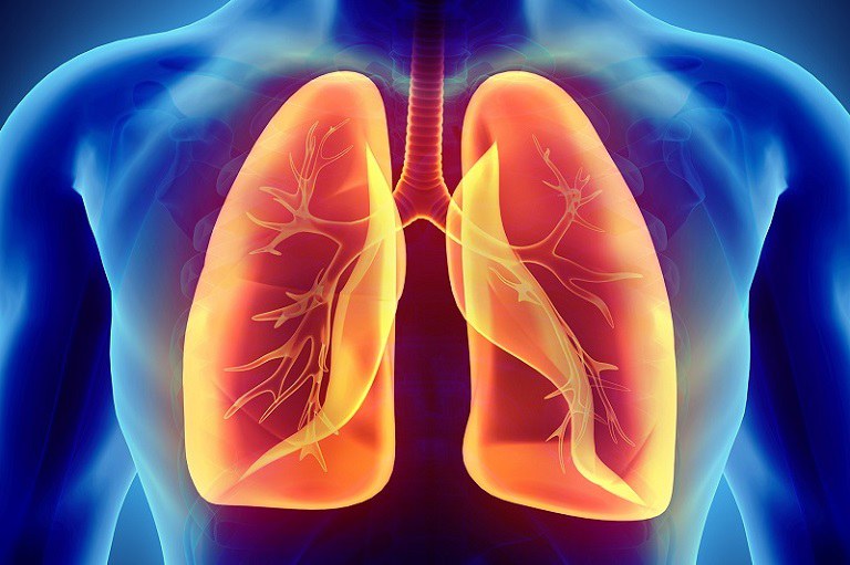 Phương pháp hỗ trợ điều trị các bệnh về hô hấp