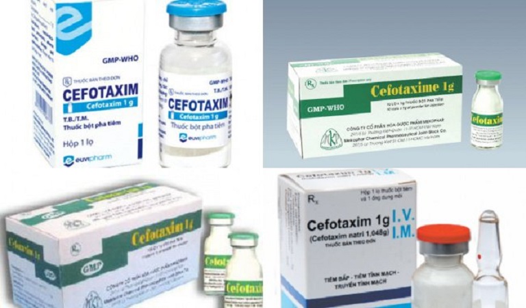 Thuốc trị bệnh chàm hiệu quả Cephalosporin