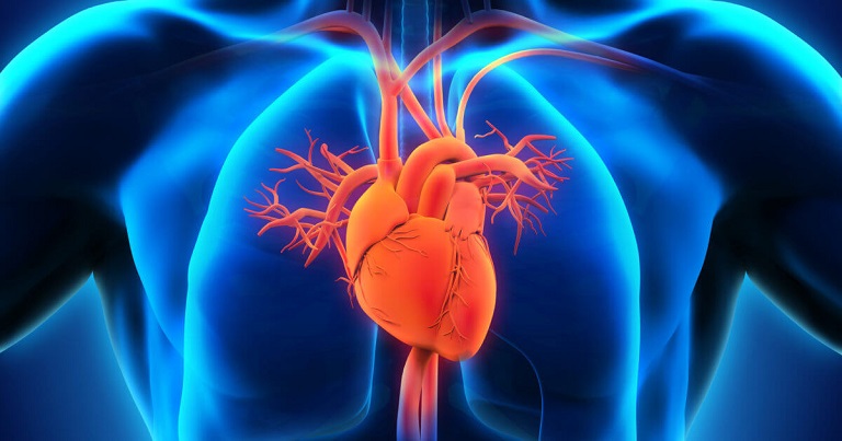 Nhô xương sườn làm cản trở hoạt động của tim và phổi