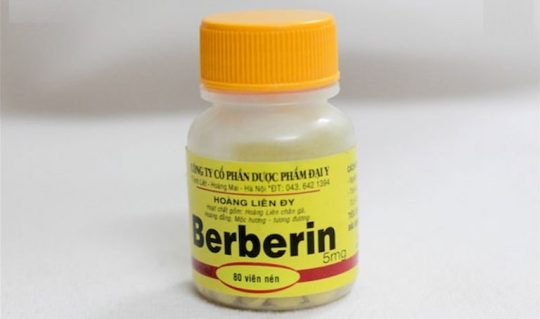 Berberin Là Thuốc Gì? Công Dụng, Thành Phần & Những Lưu Ý Cần Biết