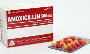 Amoxicillin Là Thuốc Gì? Thành Phần, Công Dụng, Giá Bán