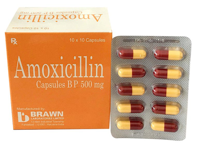 Amoxicillin là một loại thuốc kháng sinh thuộc nhóm penicillin