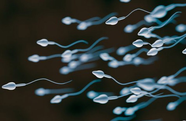 Xuất tinh ngay khi vào âm đạo và chất lượng tinh trùng tốt vẫn có khả năng mang thai